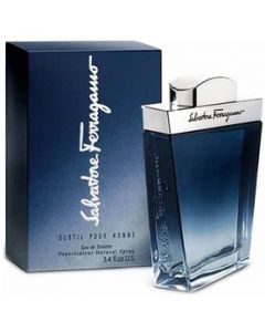 Perfume Ferragamo Subtil Hombre De Salvatore Edt 100ml - 100ml