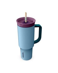 Owala Baby Blueberry - Vaso de acero inoxidable de 40 onzas, 1 EA