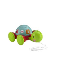 Fisher-Price Friends Play Tortuga De Aprendizaje