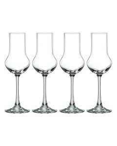 Nachtmann Vivendi Stemmed Spirit Glass, Set of 4