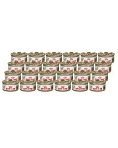 Royal CANIN 24 LATAS Chihuahua 85g