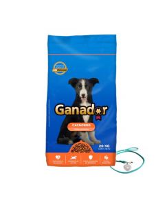 Ganador Alimento seco para Perro Cachorro 20kg Paw Patrol