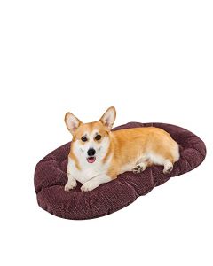 Fancy Pets Cojin/Cama para Cama de Plásico para Perro Tamaño Grande