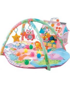 Gimnasio Bebe Pelotas Starkids Happy Space Casita