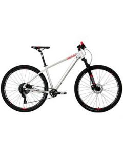 Bicicleta V Industries 950 Rodada 29 T19 Plata De Montaña 2024