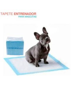 Set 100 Pañal Entrenador Absorbente Para Mascota Almohadilla